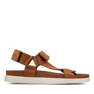 Men's Clarks Sunder Range Sandals Brown | CLK483PMK