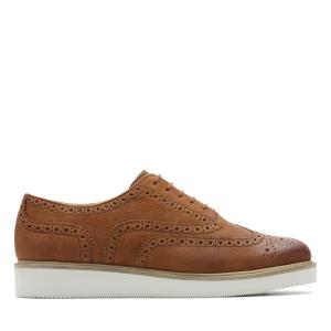 Women's Clarks Baille Brogue Dress Shoes Brown | CLK763PAM