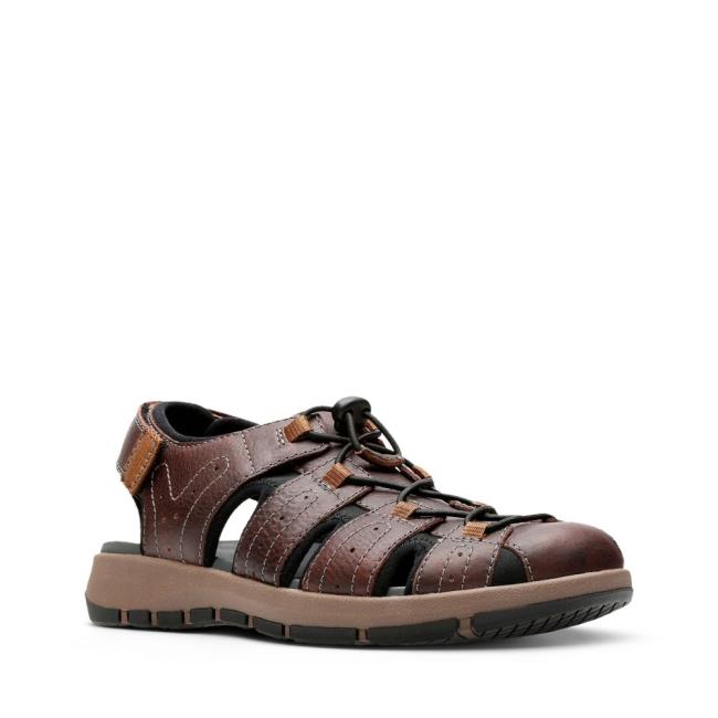 Men's Clarks Brixby Cove Sandals Dark Brown | CLK203SMY