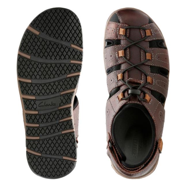 Men's Clarks Brixby Cove Sandals Dark Brown | CLK203SMY