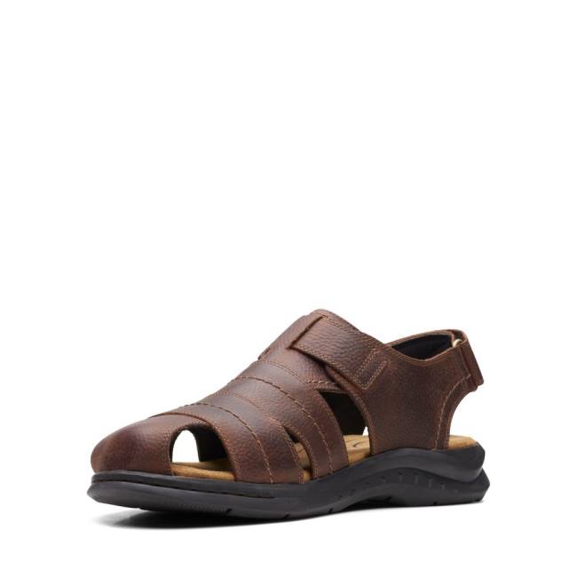 Men's Clarks Hapsford Cove Sandals Brown | CLK837HAZ