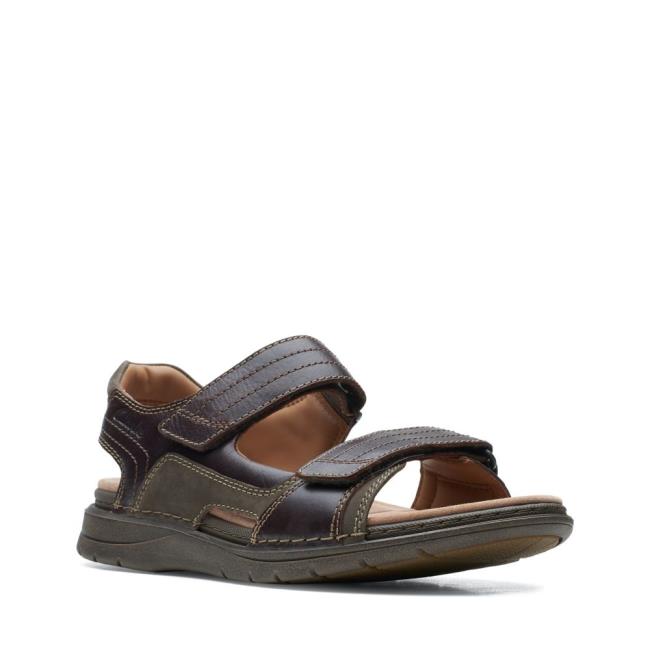 Men's Clarks Nature Trek Sandals Brown | CLK340WXM