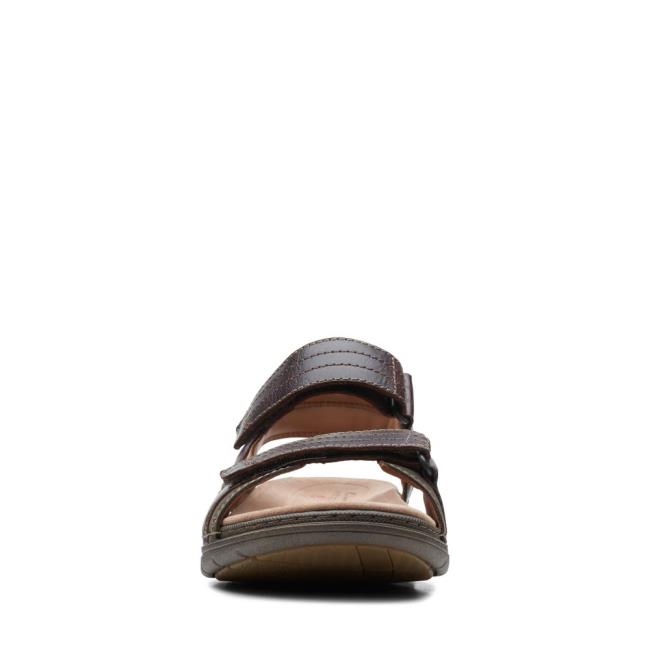 Men's Clarks Nature Trek Sandals Brown | CLK340WXM