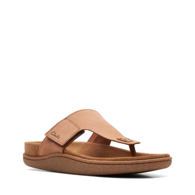 Men's Clarks Pilton Post Sandals Dark Brown | CLK043WFU