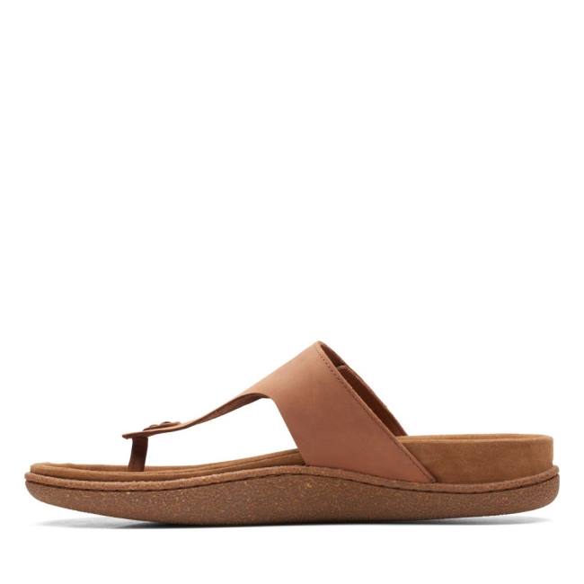 Men's Clarks Pilton Post Sandals Dark Brown | CLK043WFU