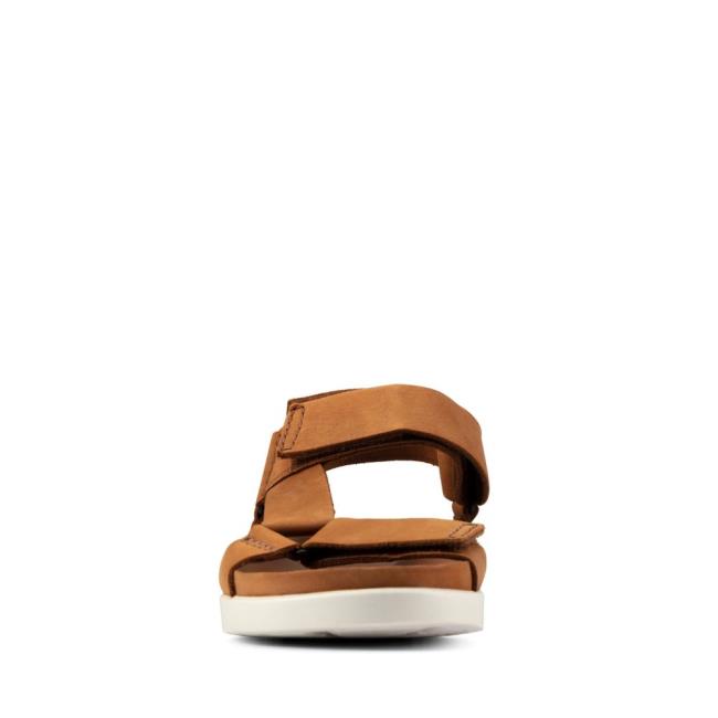 Men's Clarks Sunder Range Sandals Brown | CLK483PMK