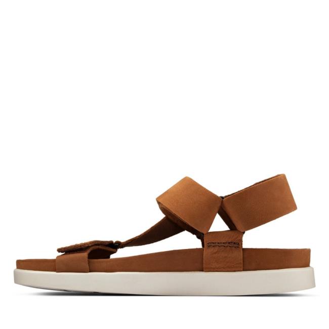 Men's Clarks Sunder Range Sandals Brown | CLK483PMK