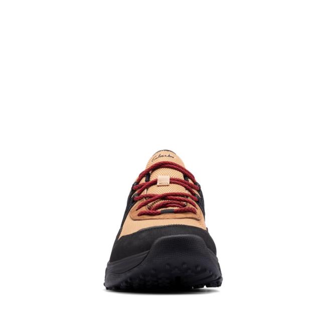 Men's Clarks Tri Path Trek GORE-TEX Sneakers Brown | CLK986OWQ