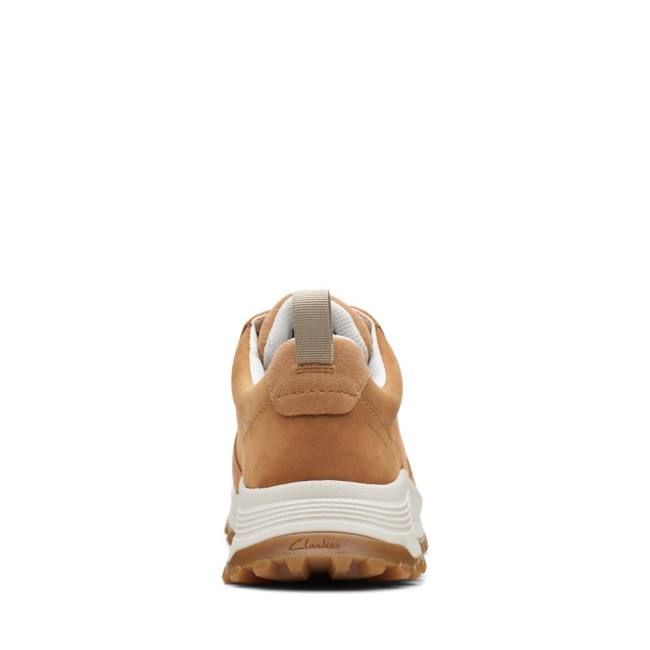 Women's Clarks ATL Trek Free Waterproof Sneakers Light Brown | CLK813MSC