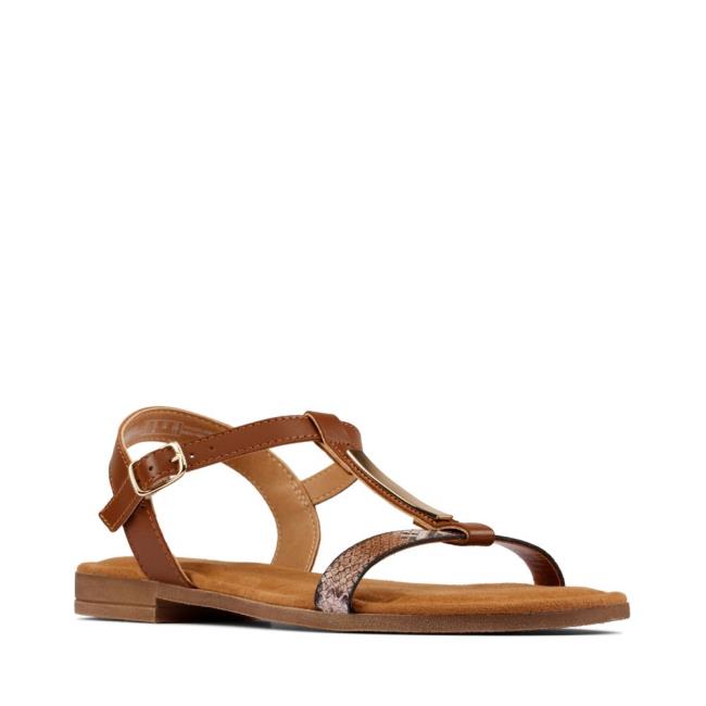 Women's Clarks Axelle Ray Sandals Brown | CLK598QAS