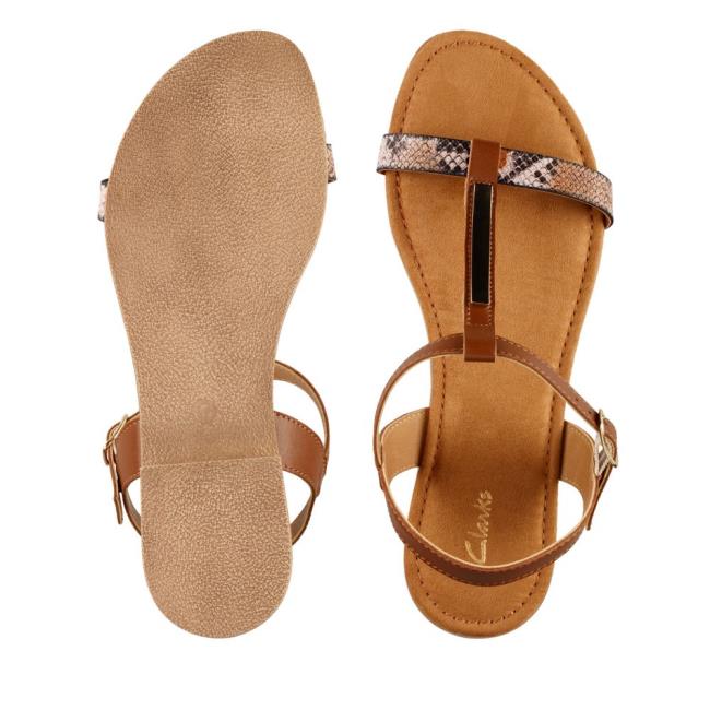 Women's Clarks Axelle Ray Sandals Brown | CLK598QAS