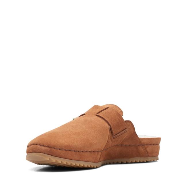 Women's Clarks Brookleigh Mule Slippers Brown | CLK280VXB