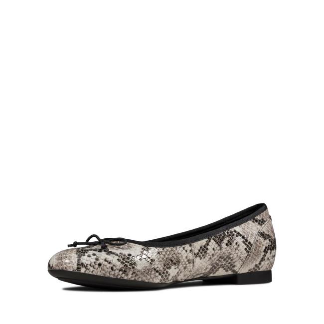 Women's Clarks Couture Bloom Flat Shoes Grey Snake | CLK456RPE