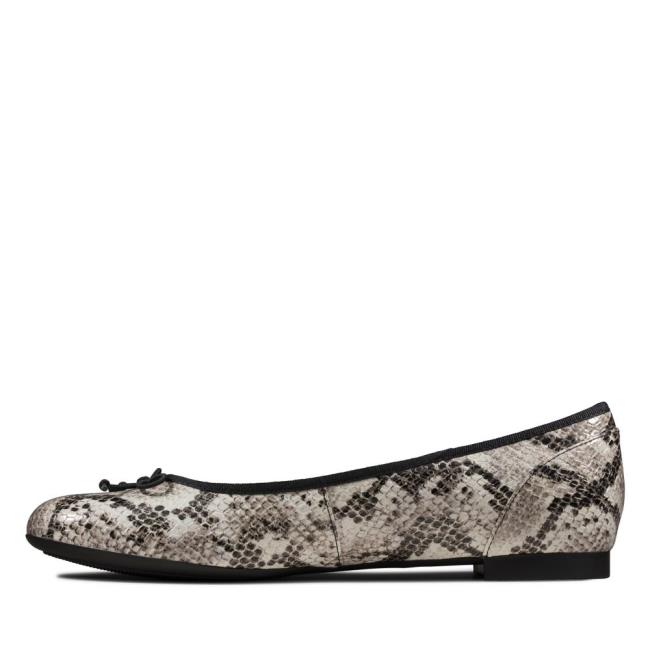 Women's Clarks Couture Bloom Flat Shoes Grey Snake | CLK456RPE