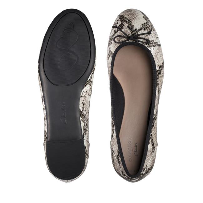 Women's Clarks Couture Bloom Flat Shoes Grey Snake | CLK456RPE