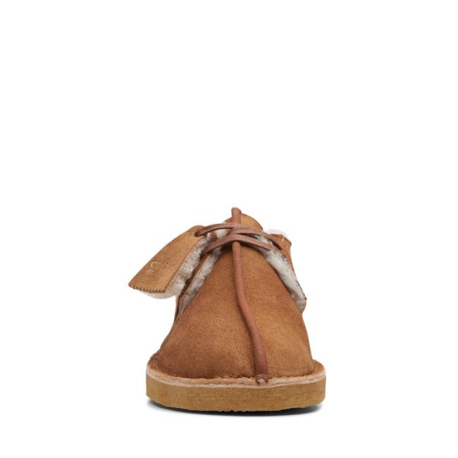 Women's Clarks Desert Trek Flat Shoes Brown | CLK094VKB