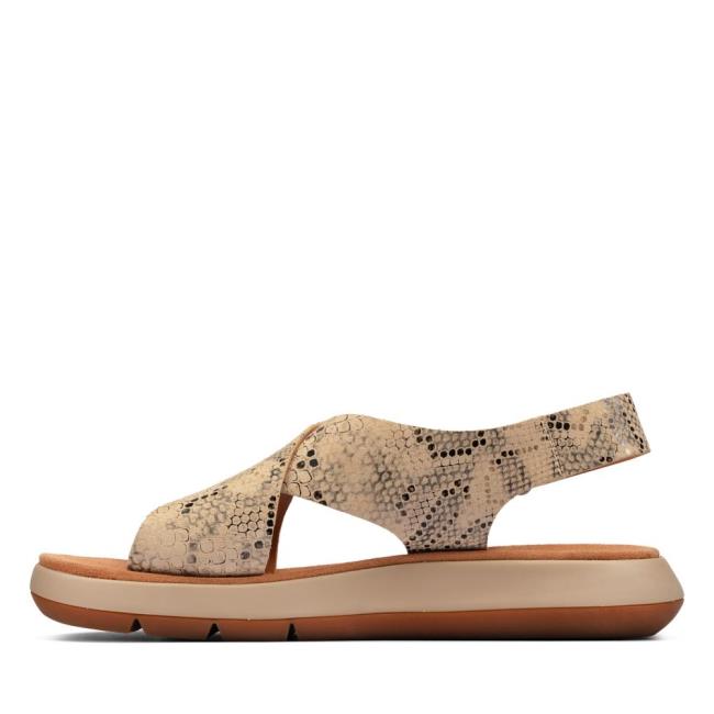 Women's Clarks Jemsa Cross Sandals Grey Brown Snake | CLK073UWP