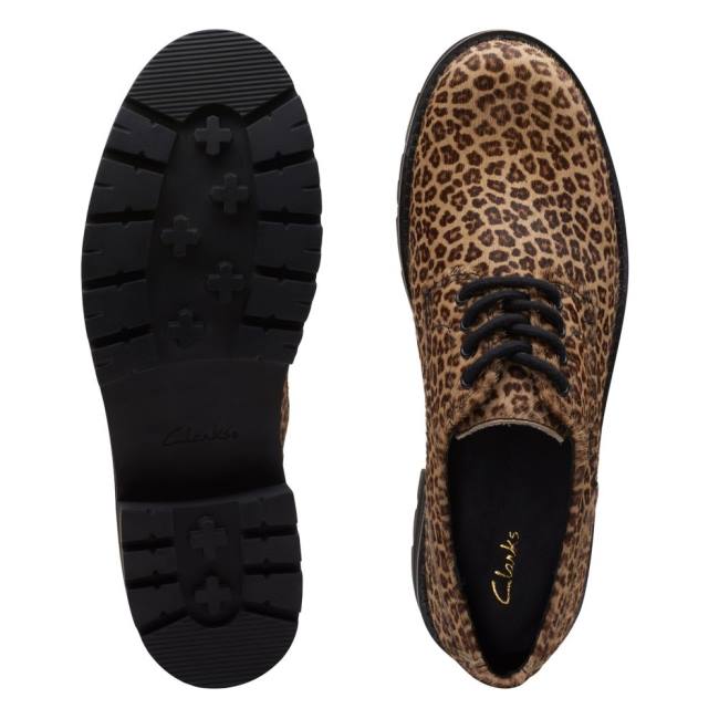 Women's Clarks Orianna Derby Flat Shoes Leopard | CLK753QSX