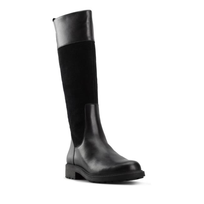 Women's Clarks Orinoco 2 Hi Knee-high Boots Black | CLK096HLP