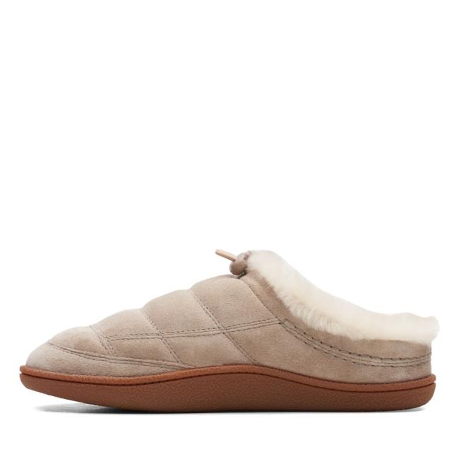 Women's Clarks Pilton Mule Slippers Brown | CLK204LPT