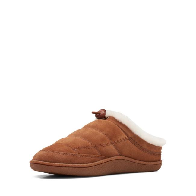 Women's Clarks Pilton Mule Slippers Brown | CLK815VQC