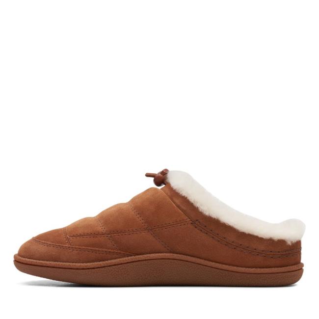 Women's Clarks Pilton Mule Slippers Brown | CLK815VQC